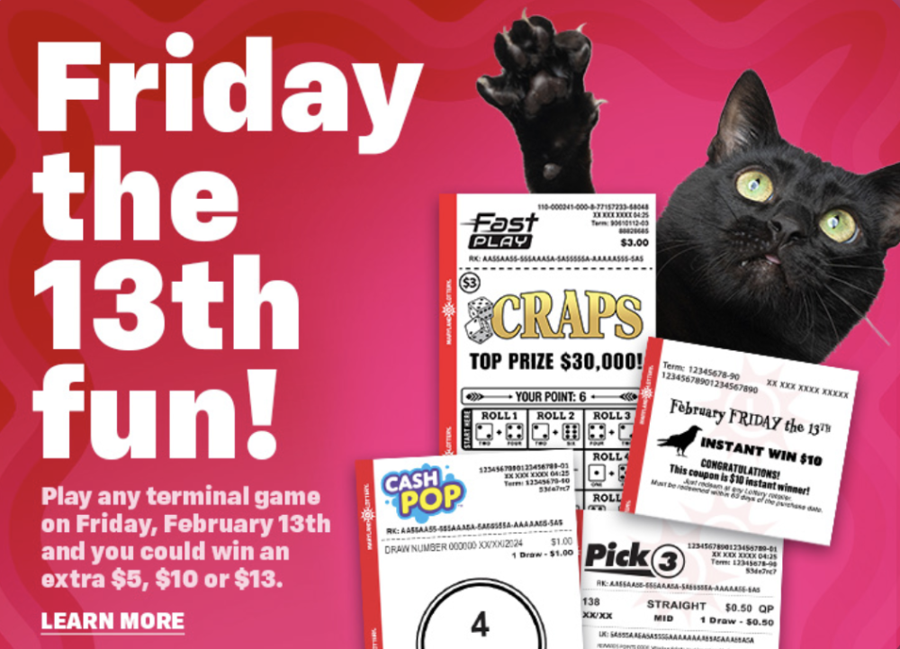 Are you a lucky cat?